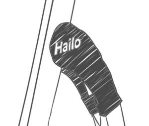 Hailo Leiter Test